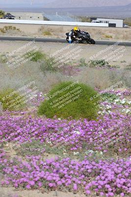 media/Feb-04-2023-SoCal Trackdays (Sat) [[8a776bf2c3]]/Turn 15 Inside Blooming (1050am)/